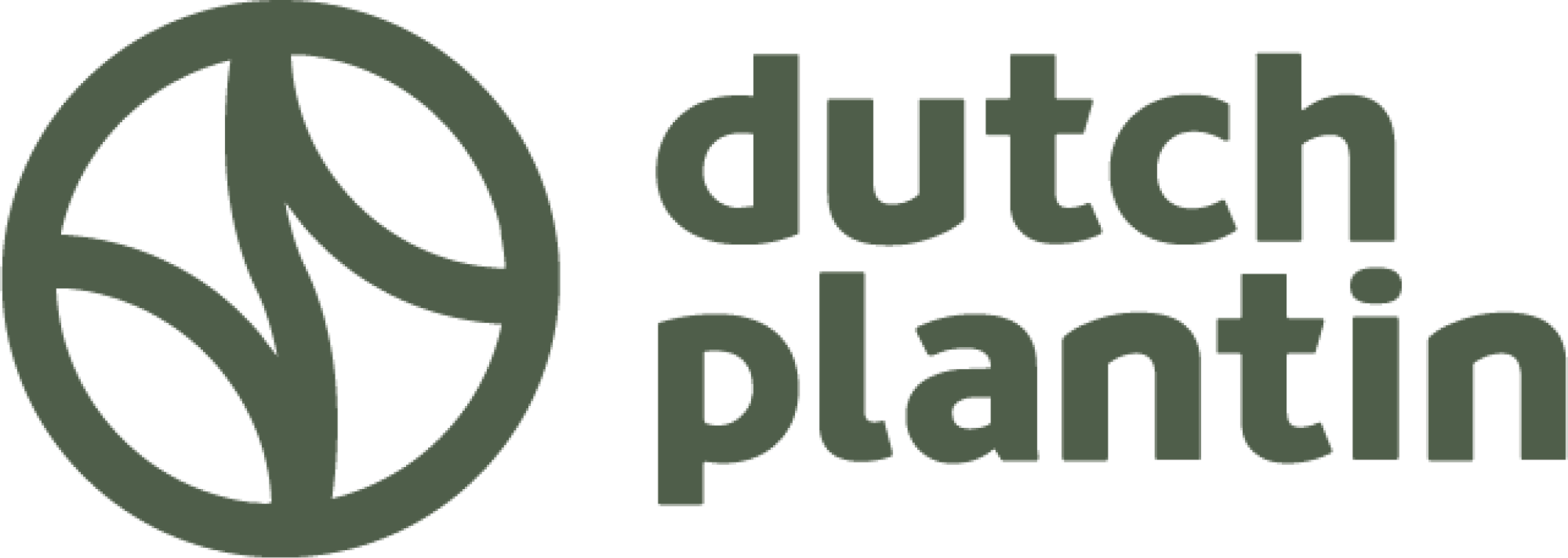 Dutch Plantin